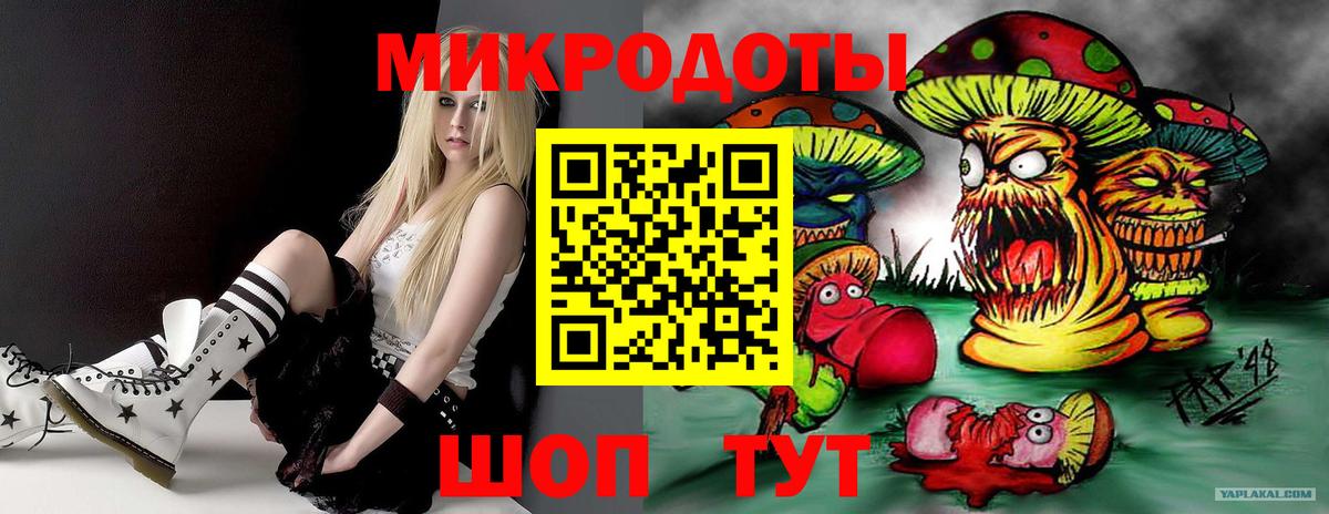 Псилоцибиновые грибы Cubensis  Вход с VPN  Вольск  Псилоцибиновые грибы Psilocybine cubensis 