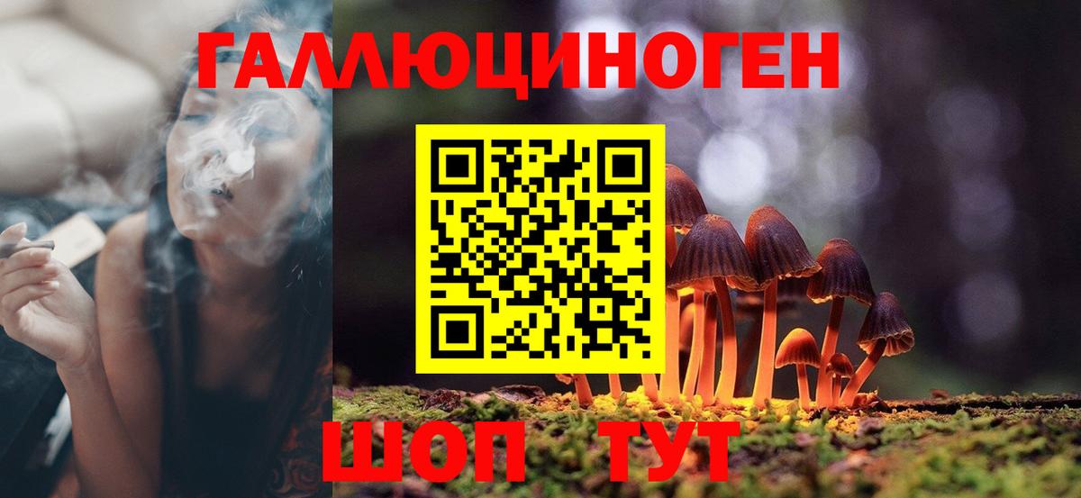 Псилоцибиновые грибы Magic Shrooms Вольск