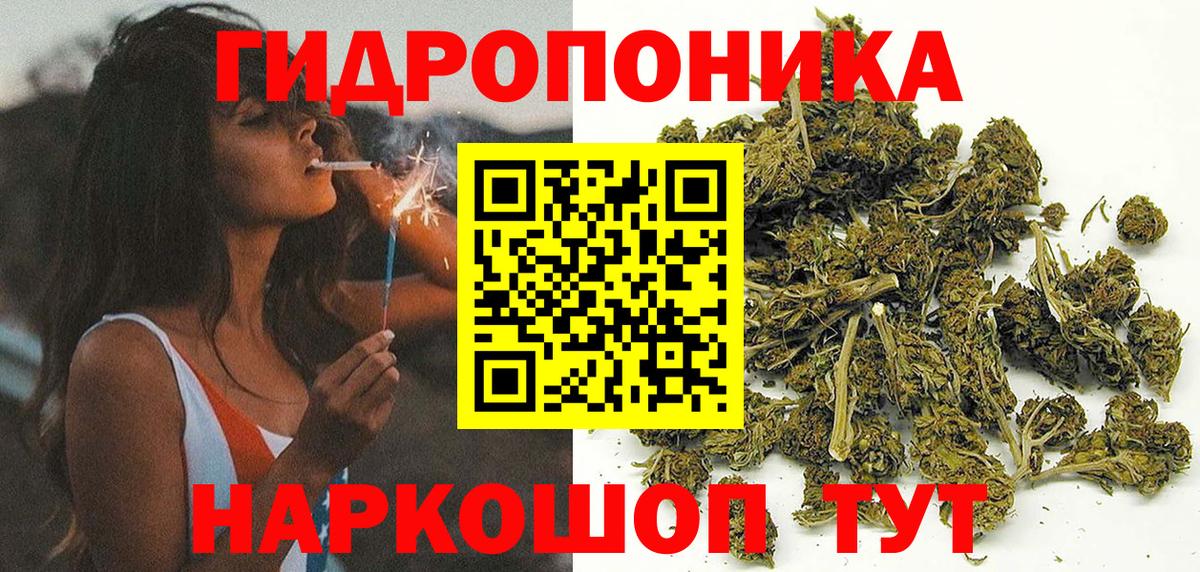 Конопля White Widow  Бошки Шишки план  Вольск  Вход с VPN  Канабис планчик  Конопля MAZAR 
